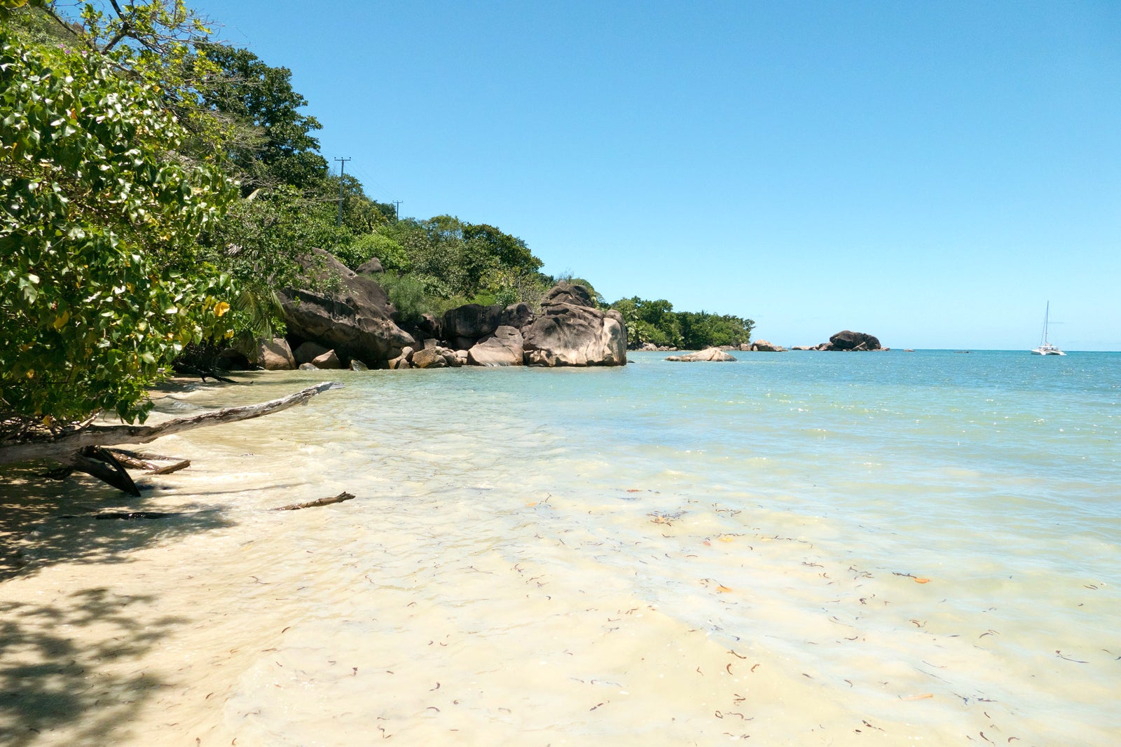 Anse St. Sauveur، Praslin - Anse St. Sauveur, Praslin