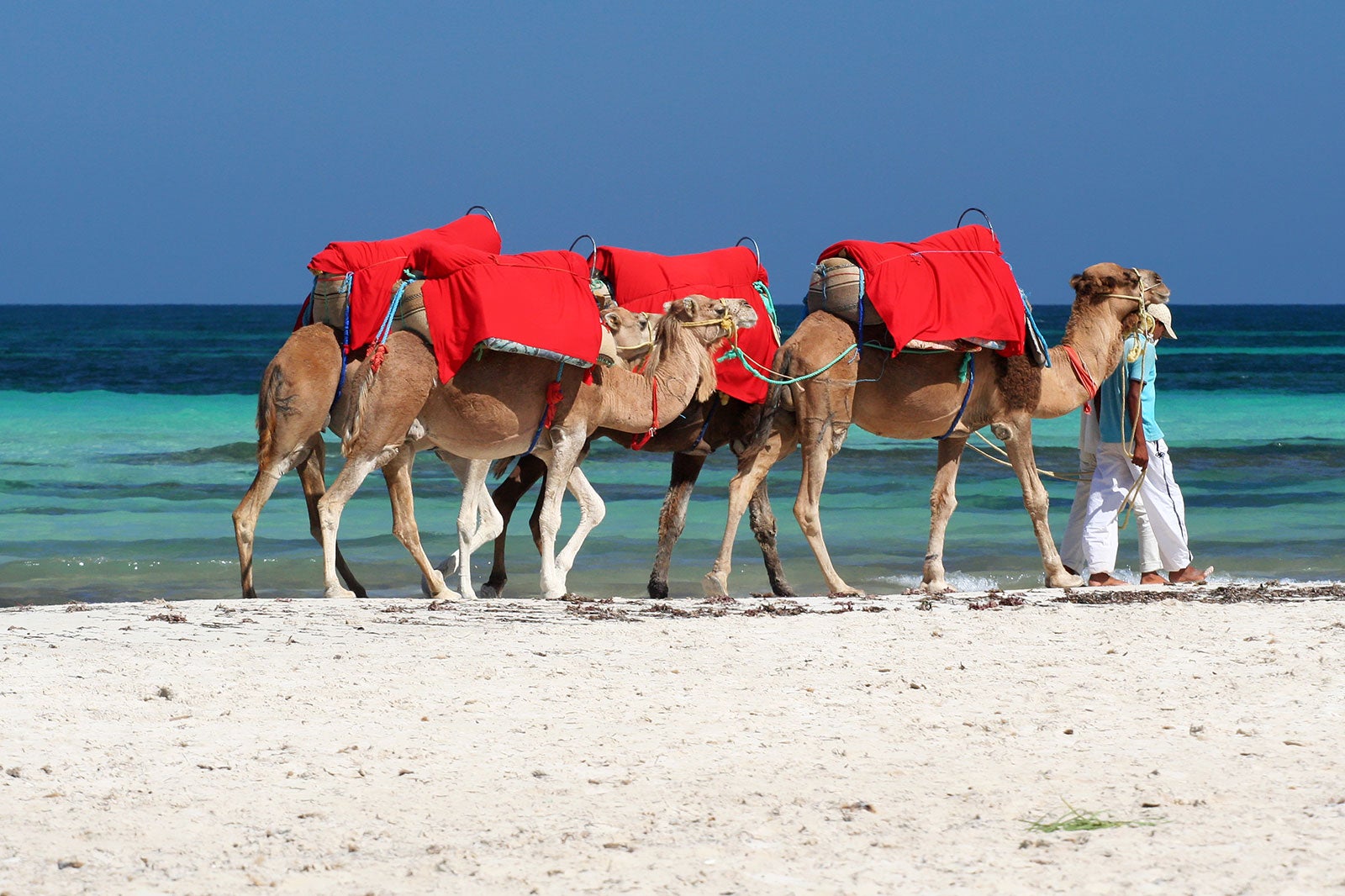 جربا - Djerba