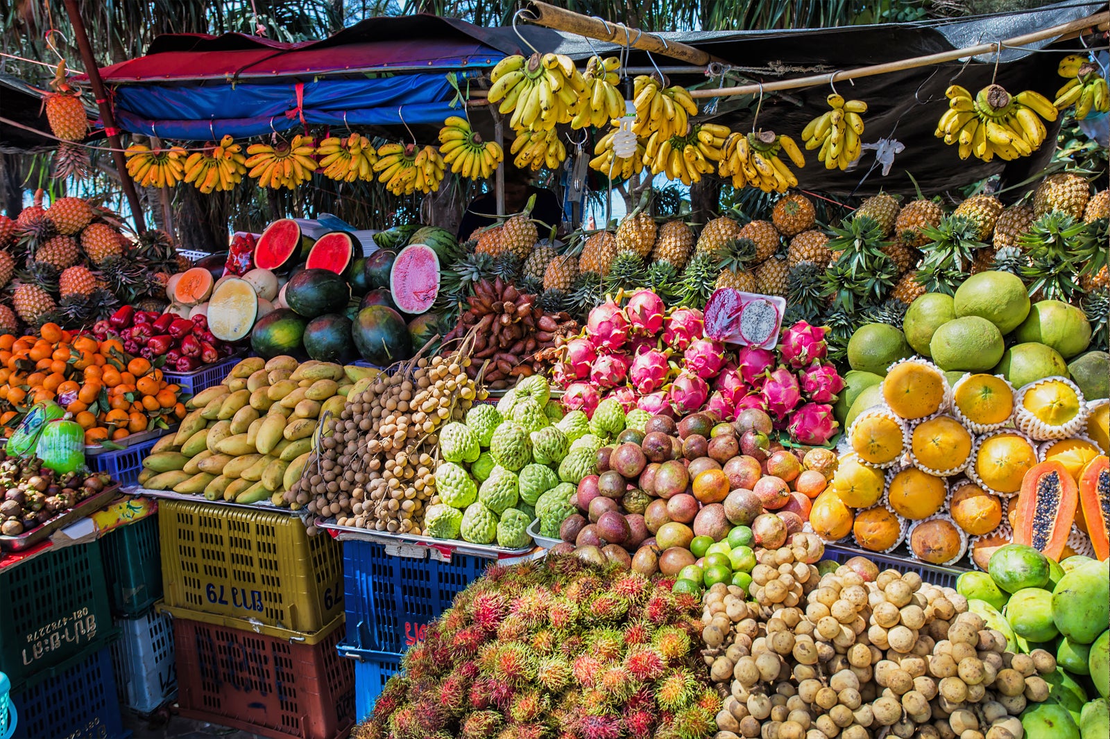 میوه های فراوان - Bountiful fruits