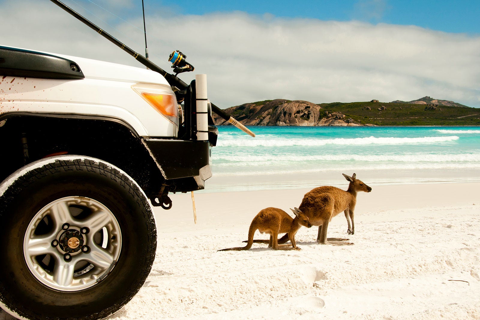جزیره کانگورو، استرالیای جنوبی - Kangaroo Island, South Australia