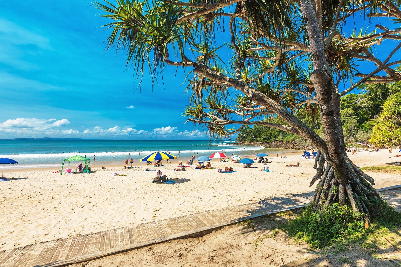 ساحل اصلی نوسا، کوئینزلند - Noosa Main Beach, Queensland