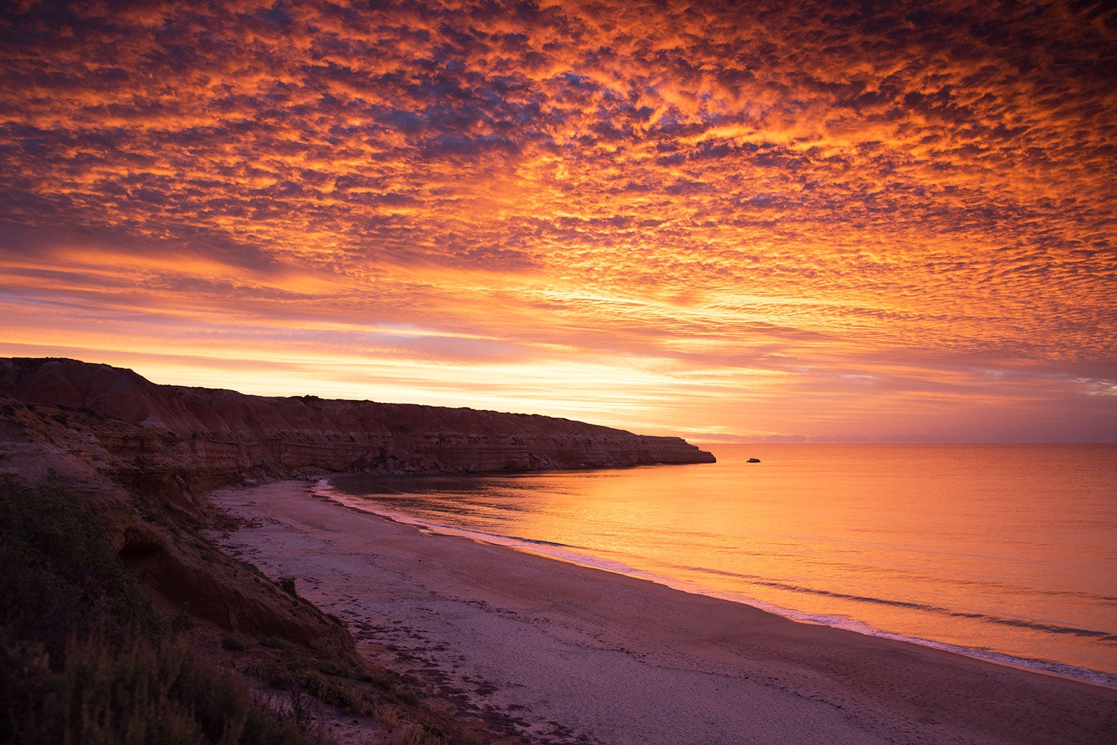 ساحل ماسلین - Maslin Beach