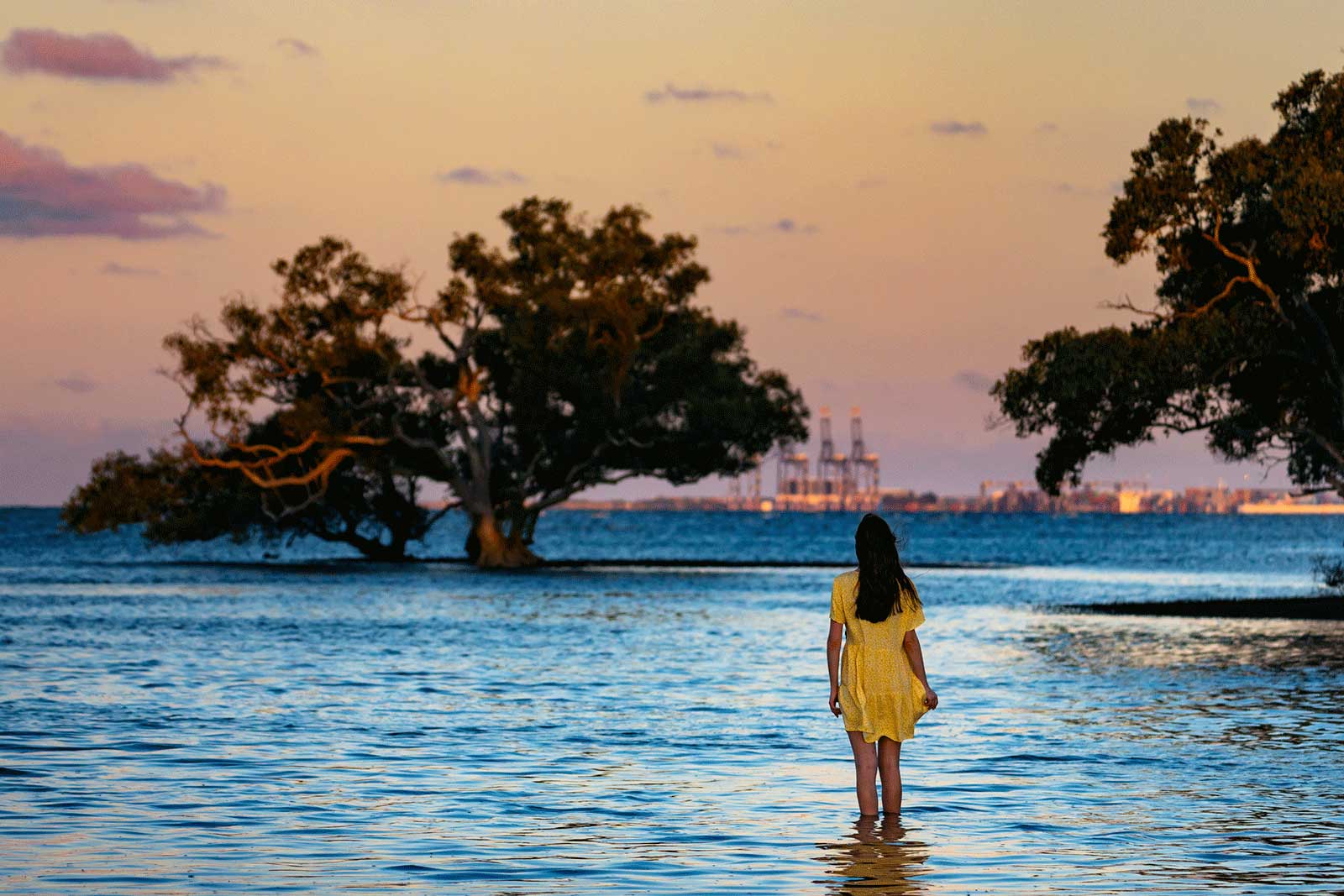 ساحل نوج - Nudgee Beach