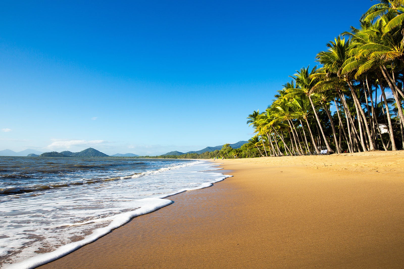 ساحل پالم کوو - Palm Cove Beach