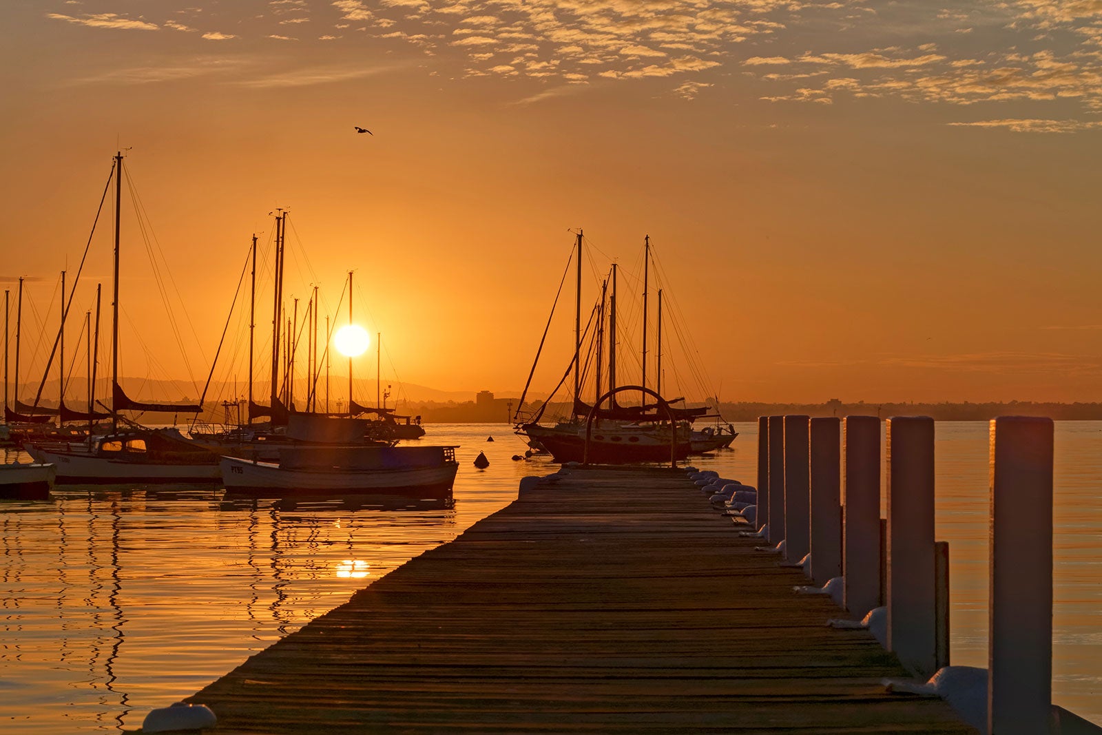 ساحل ویلیام تاون - Williamstown Beach