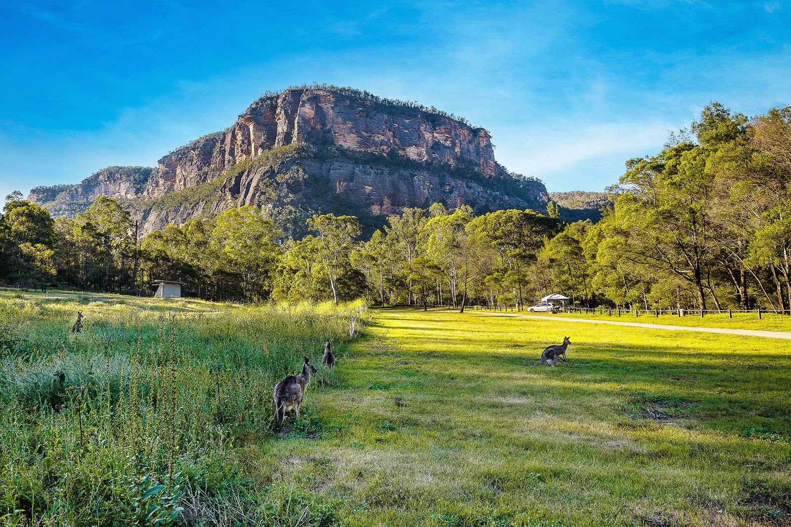 دره کانگورو - Kangaroo Valley