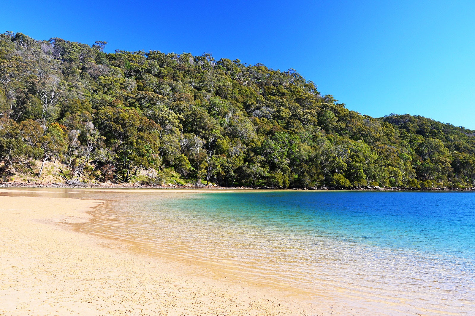 پارک ملی Ku-ring-gai Chase - Ku-ring-gai Chase National Park