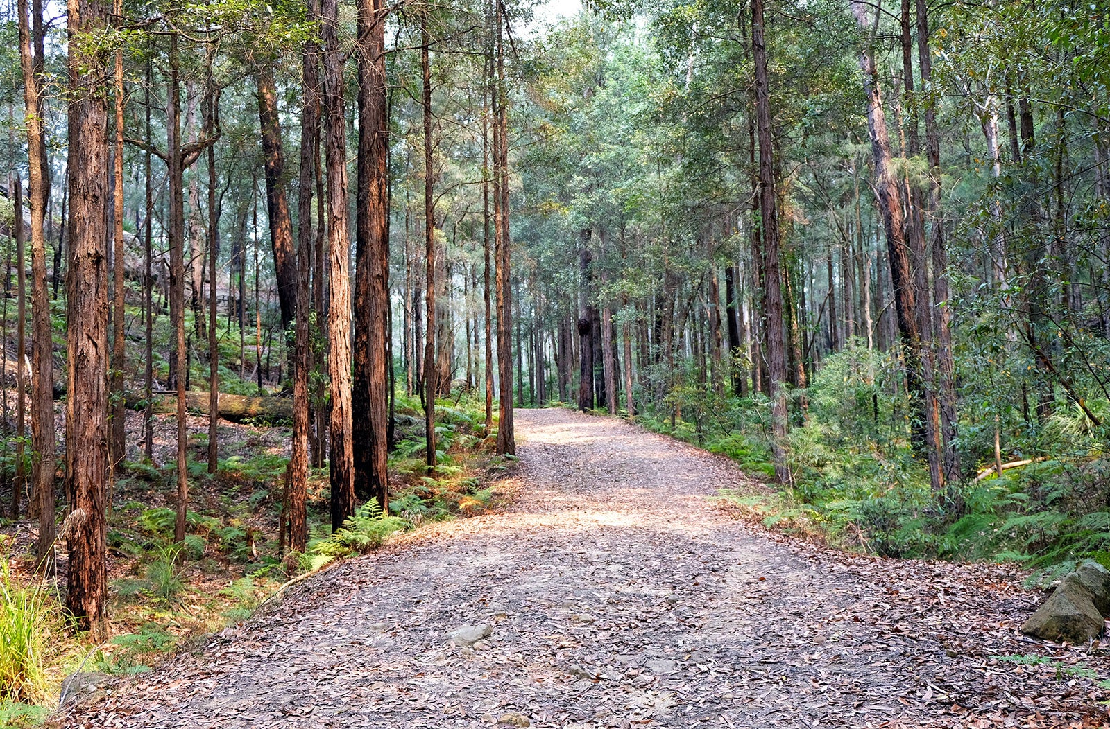 مسیر دو دره - Two Valley Trail