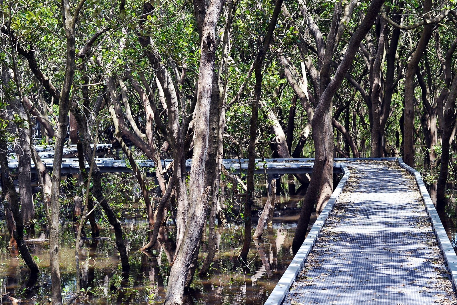 پارک دویستین - Bicentennial Park