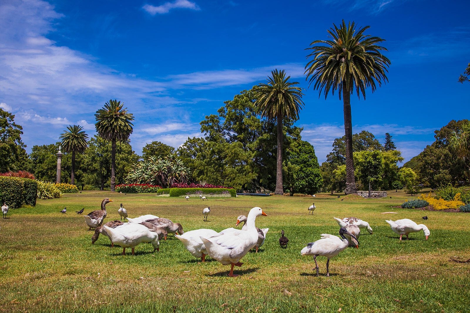 پارک صد ساله - Centennial Park