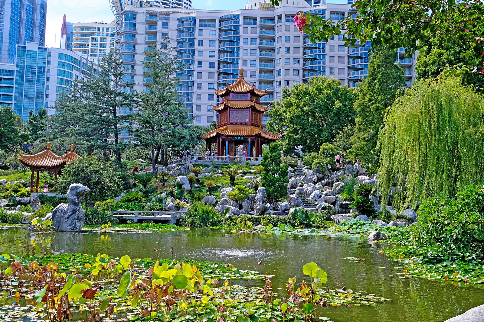 باغ دوستی چینی - Chinese Garden of Friendship