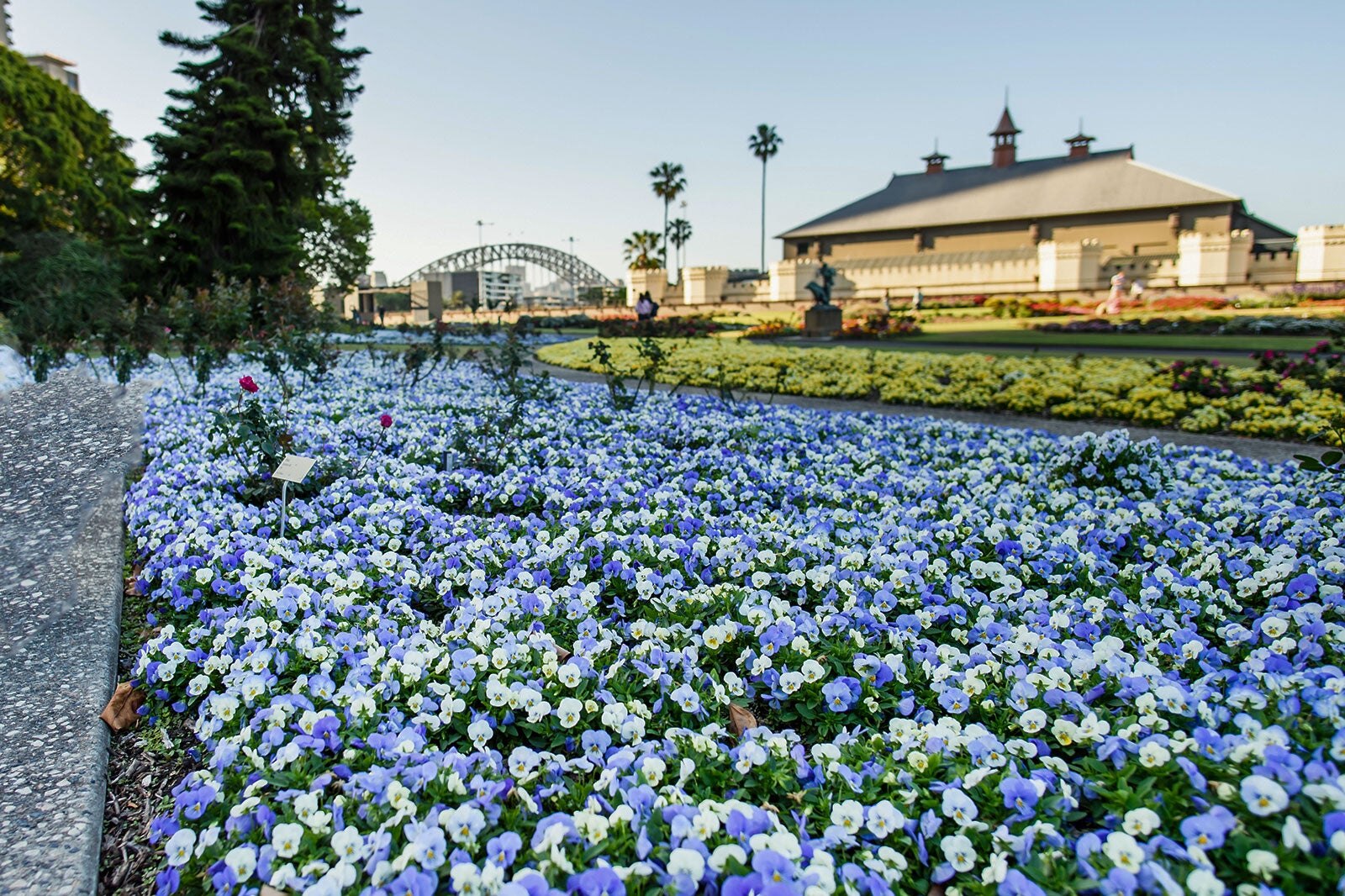 باغ گیاه شناسی سلطنتی - Royal Botanic Gardens