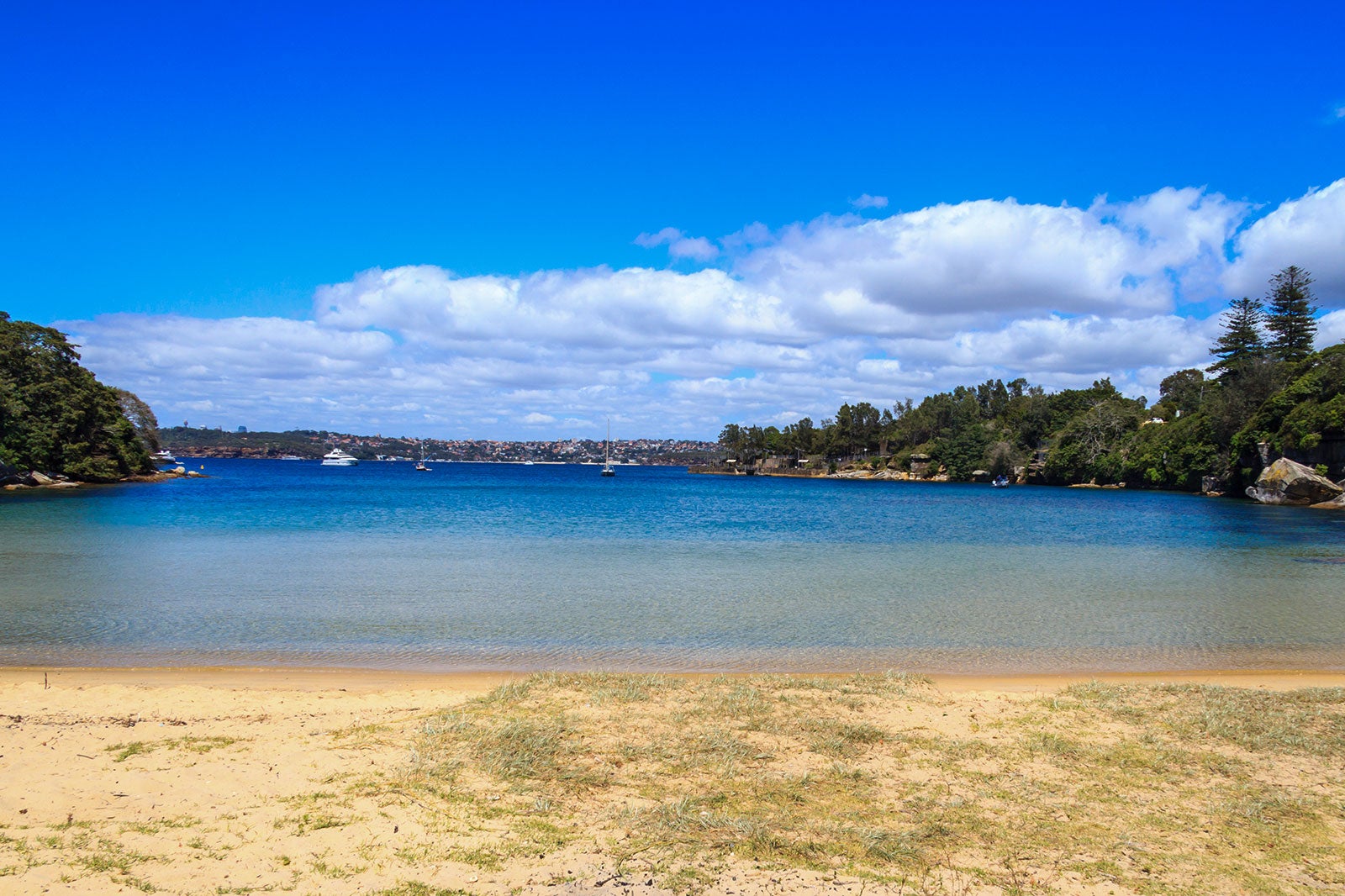 پارک ملی بندرگاه سیدنی - Sydney Harbor National Park