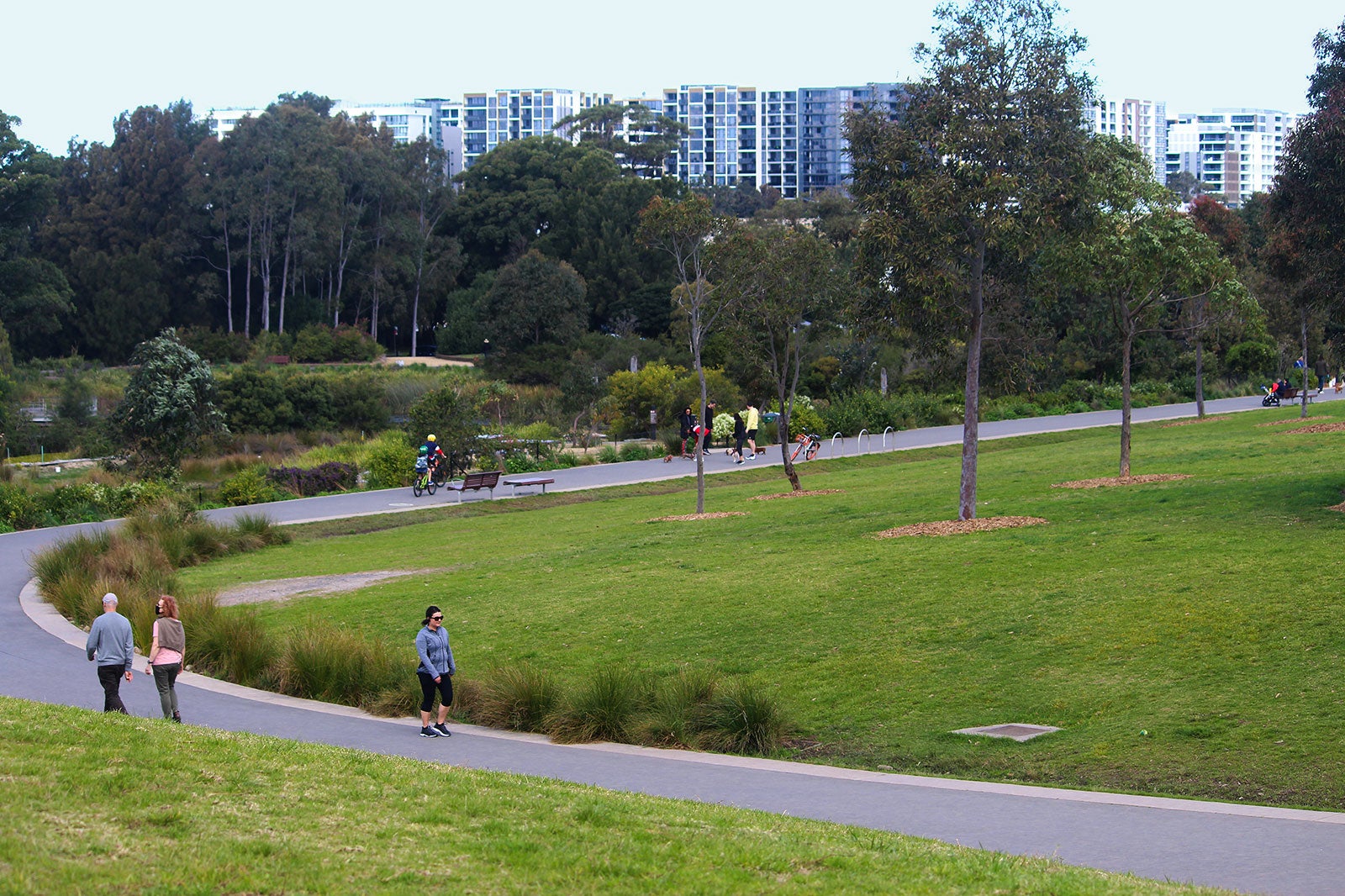 سیدنی پارک - Sydney Park