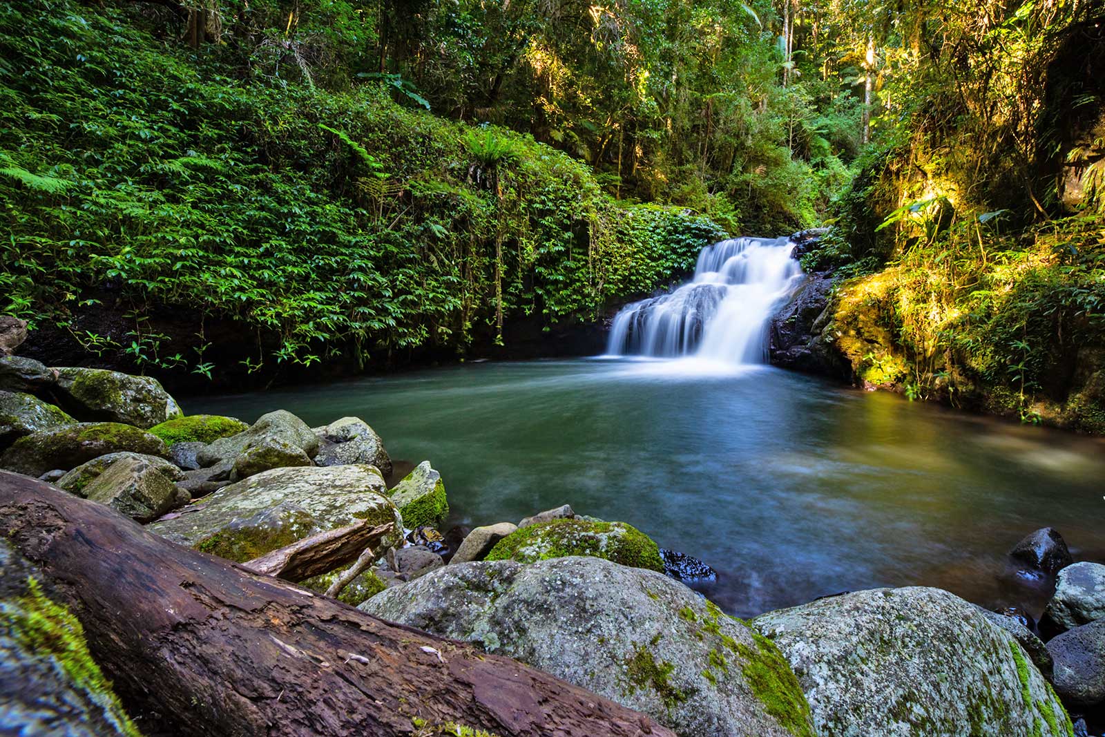 پارک ملی لامینگتون - Lamington National Park