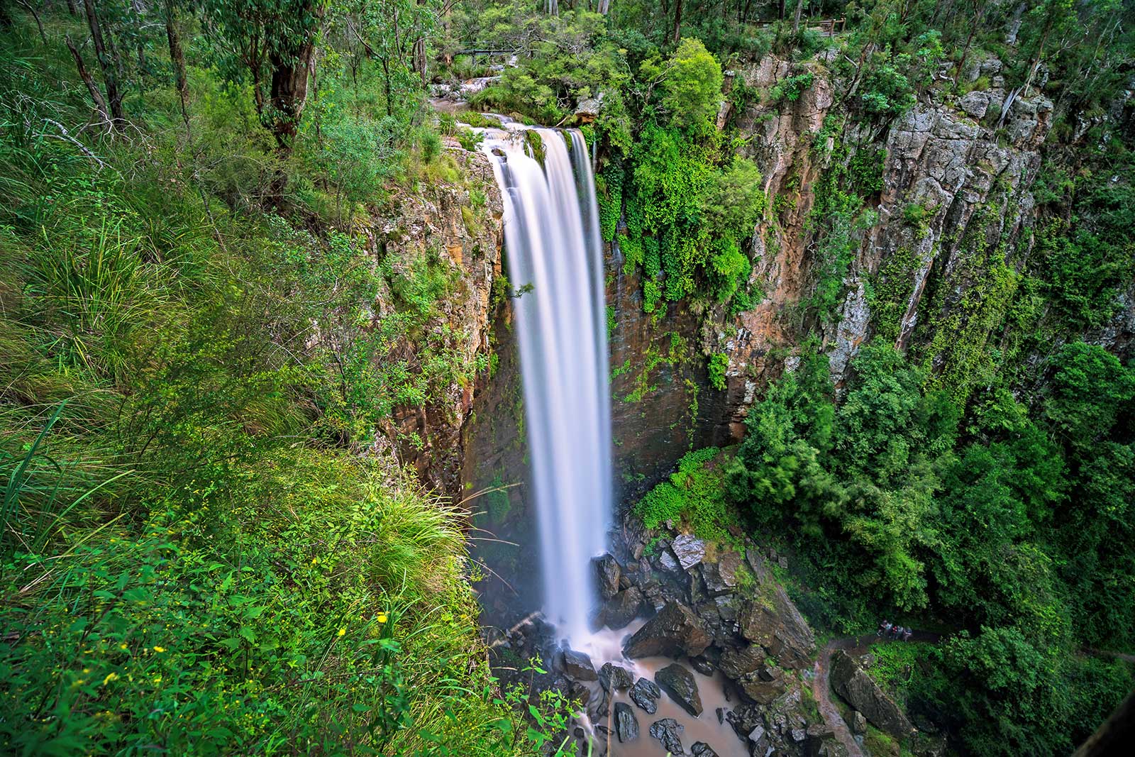 آبشار ملکه مری - Queen Mary Falls