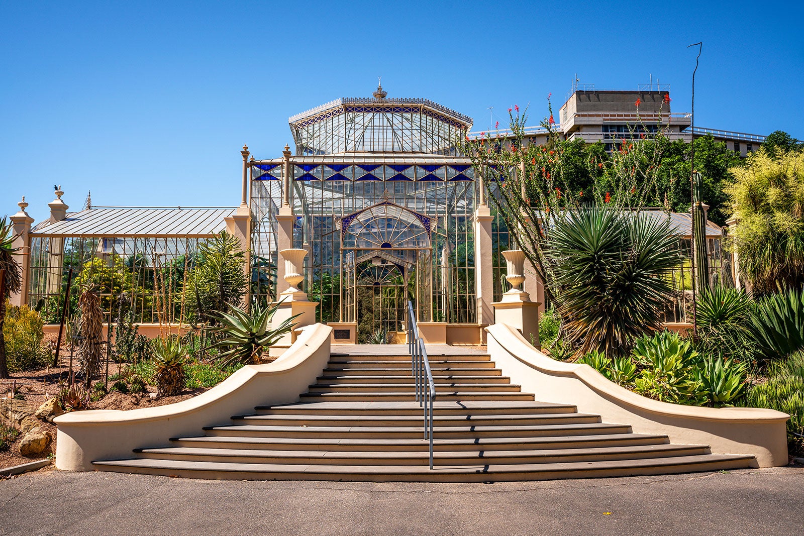 باغ گیاه شناسی آدلاید - Adelaide Botanic Garden