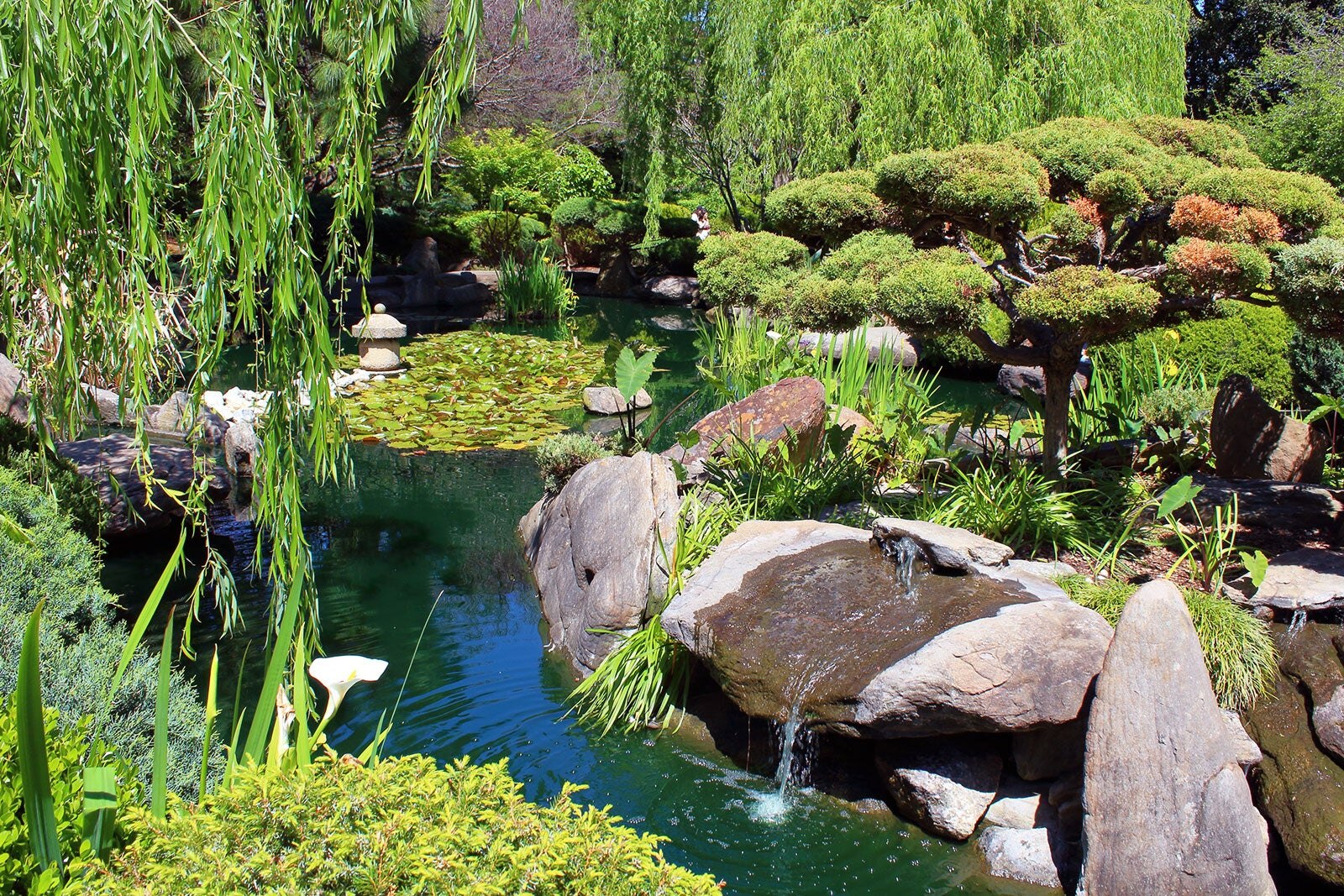 باغ هیمجی - Himeji Garden