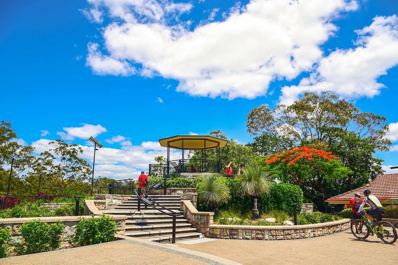 Mount Coot-Tha Summit Lookout - Mount Coot-Tha Summit Lookout