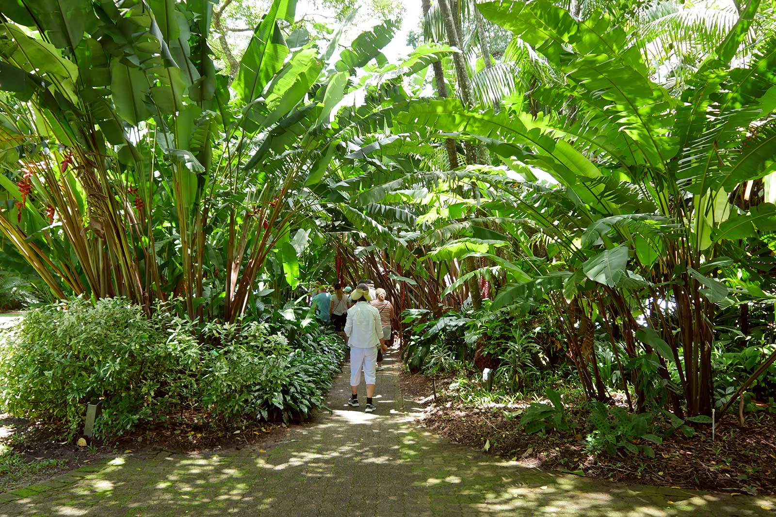 باغ گیاه شناسی کنز - Cairns Botanic Gardens