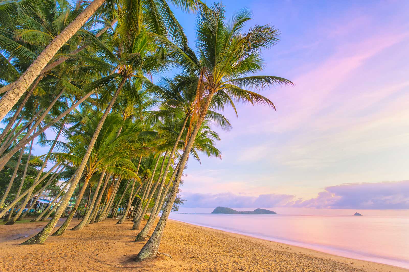 پالم کوو - Palm Cove