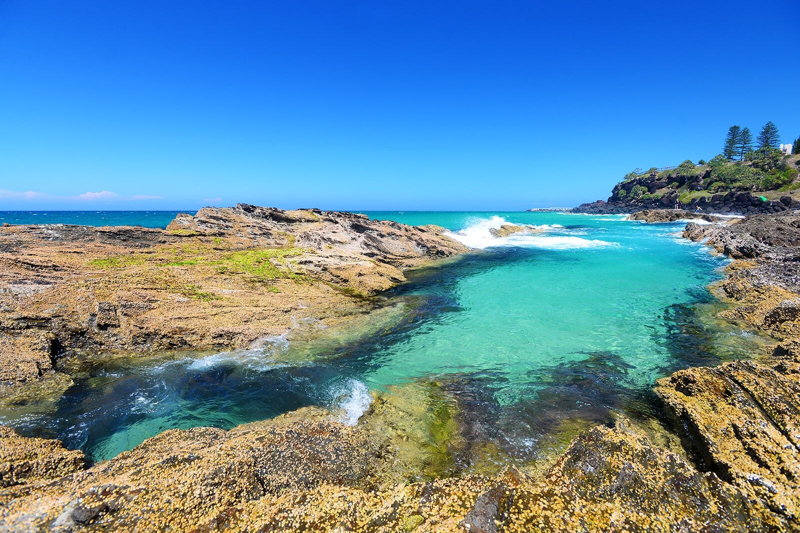 Snapper Rocks - Snapper Rocks