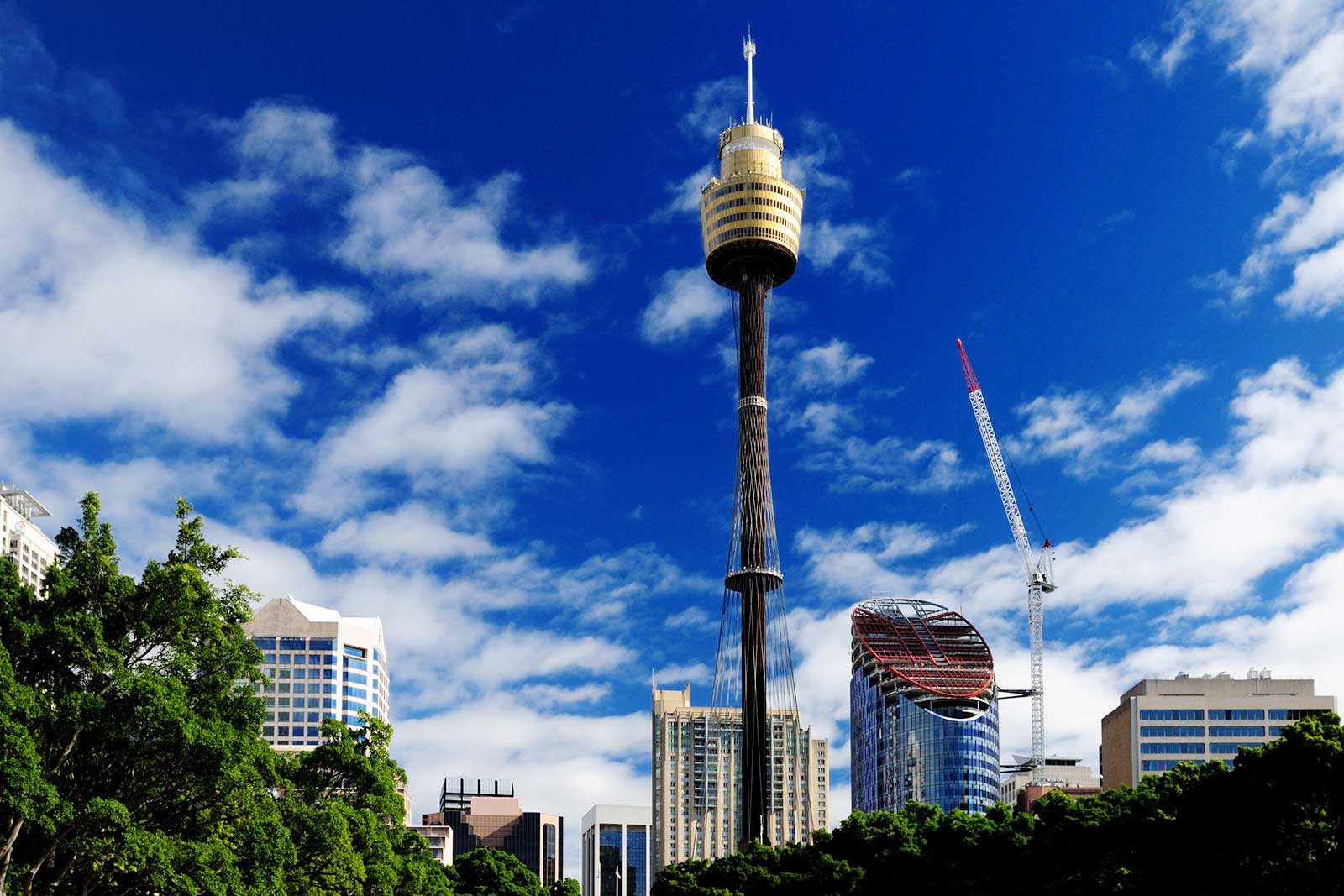 برج سیدنی - Sydney Tower