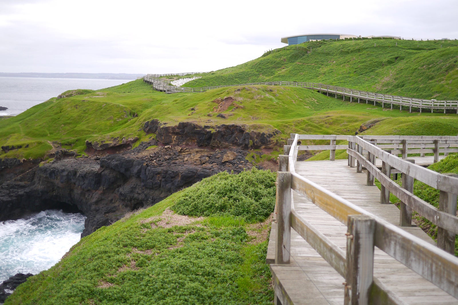 جزیره فیلیپ - Phillip Island