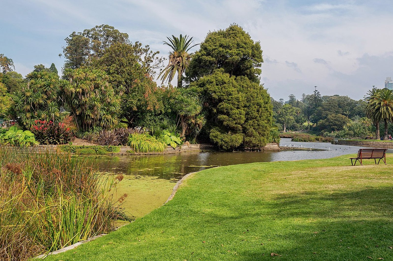 باغ گیاه شناسی سلطنتی - Royal Botanic Gardens