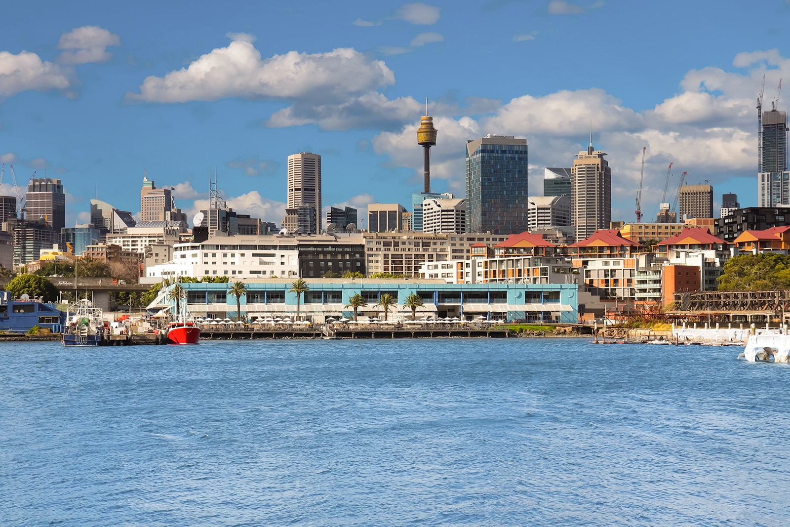 بازار ماهی سیدنی - Sydney Fish Market