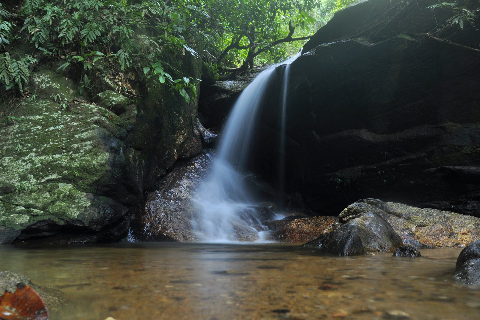 Cachoeira do Horto - Cachoeira do Horto