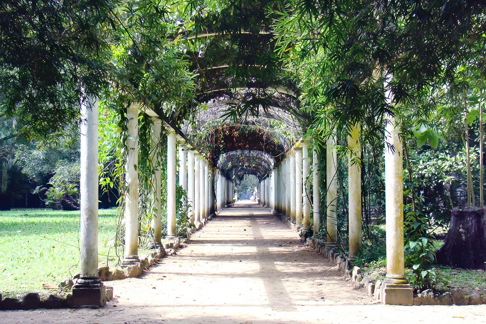 Jardim Botanico do Rio de Janeiro - Jardim Botanico do Rio de Janeiro