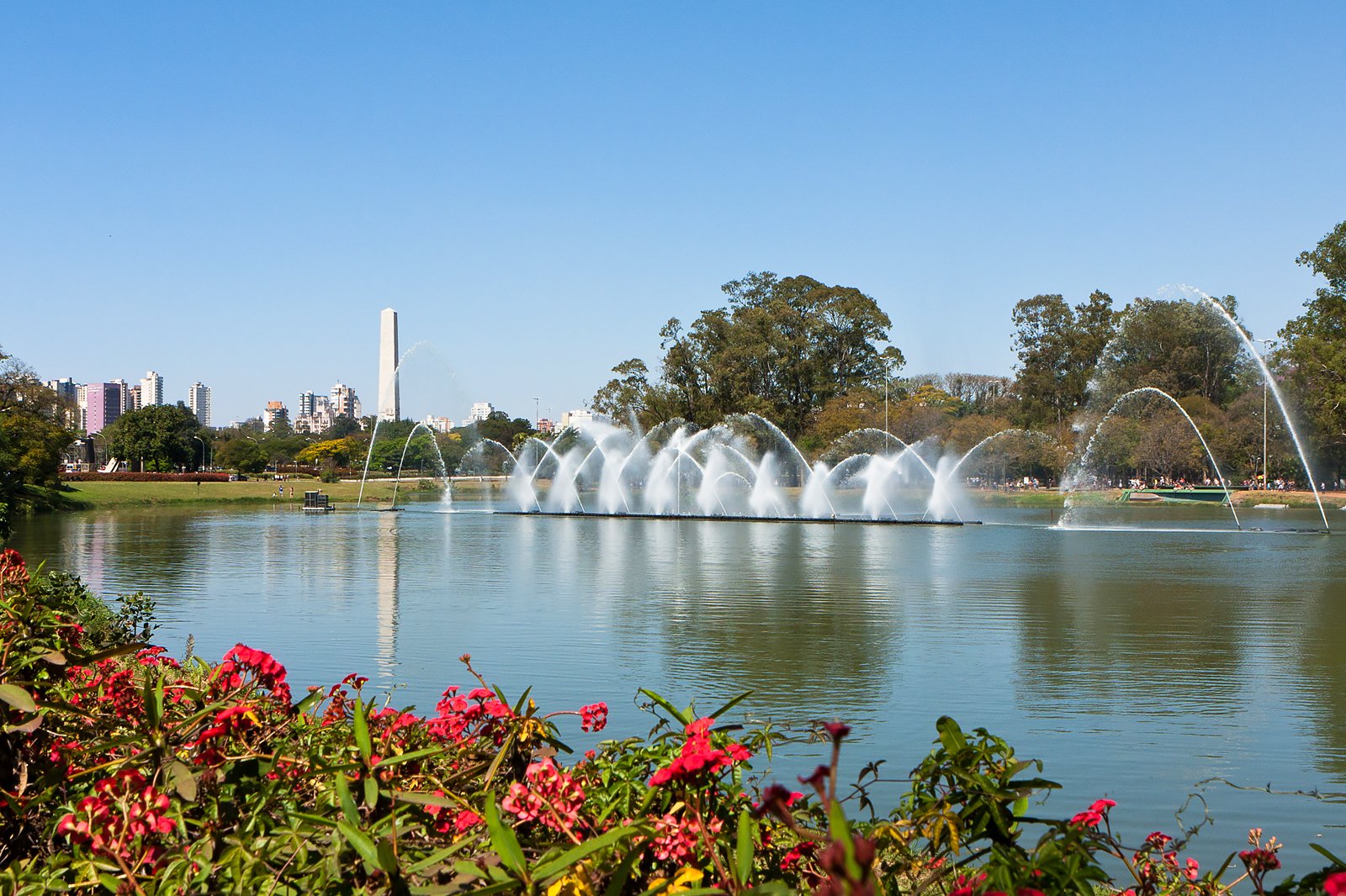 در پارک Ibirapuera قدم بزنید - Have a stroll in Ibirapuera Park