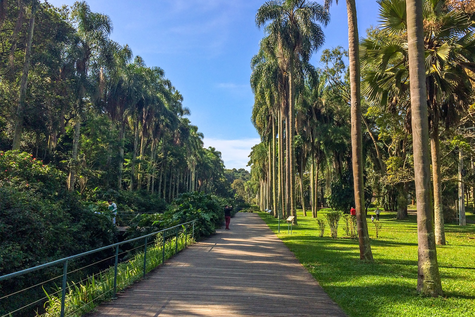 باغ گیاه شناسی سائوپائولو - The Botanical Garden of Sao Paulo