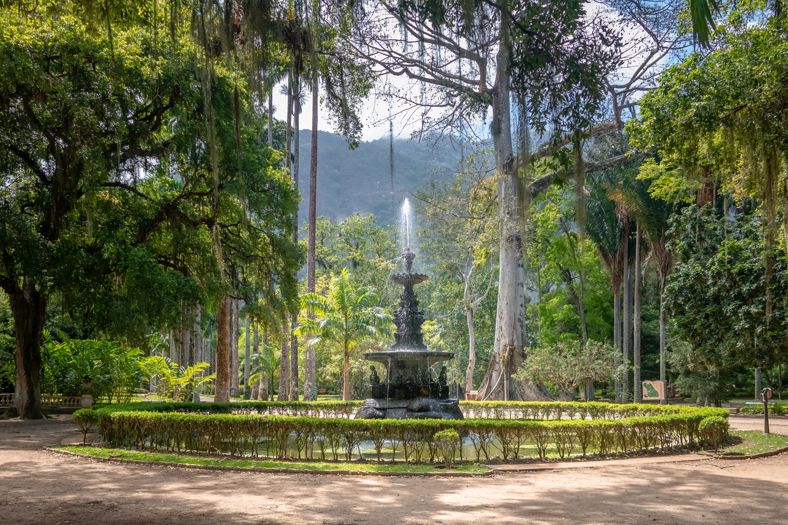 Jardim Botanico do Rio de Janeiro - Jardim Botanico do Rio de Janeiro