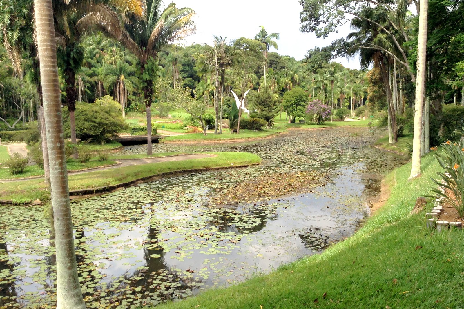 باغ گیاه شناسی سائوپائولو - The Botanical Garden of Sao Paulo