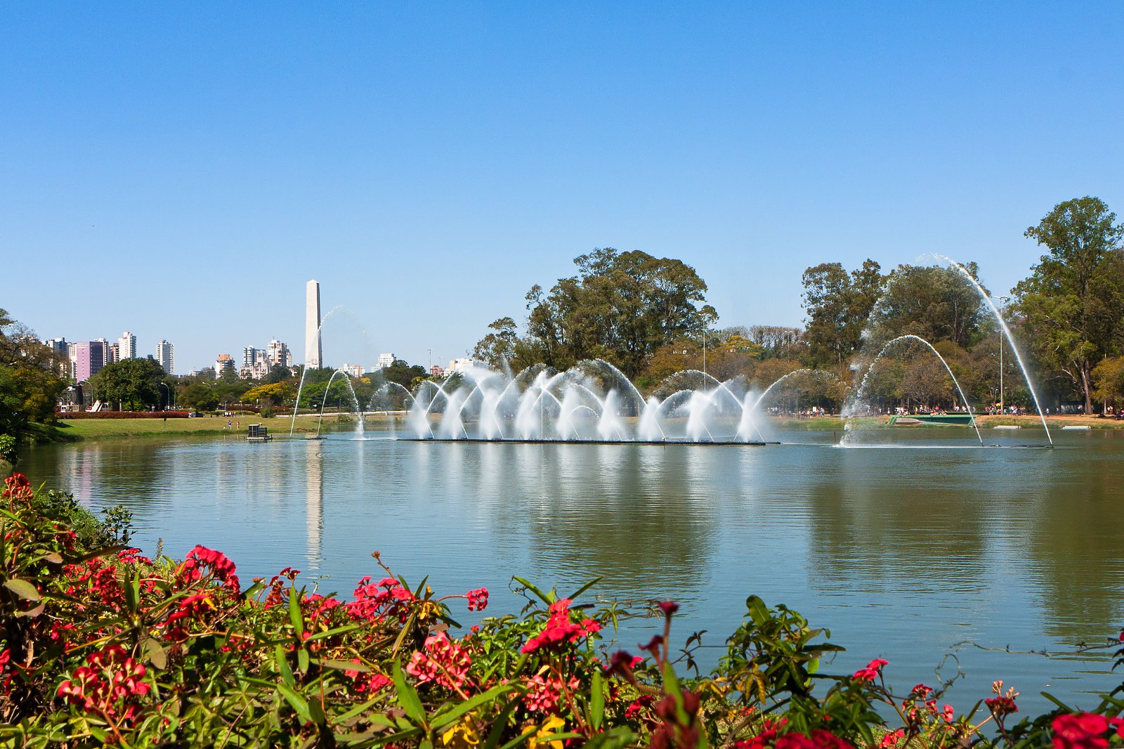 پارک ایبیراپوئرا - Ibirapuera Park