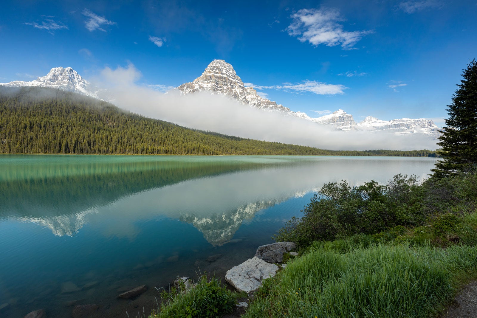 دریاچه هکتور - Hector Lake