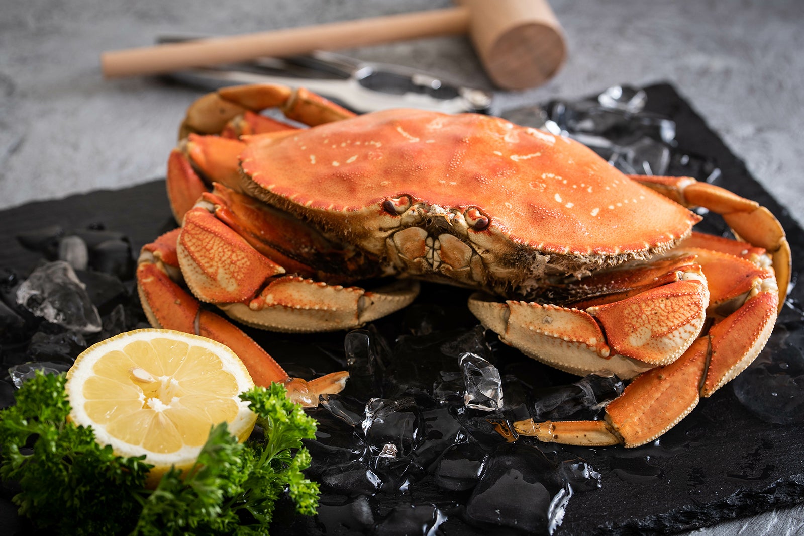 خرچنگ سیاه چال - Dungeness crab