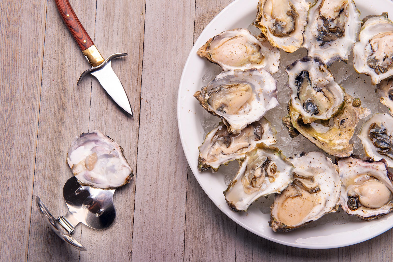 صدف های ساحل غربی - West Coast oysters