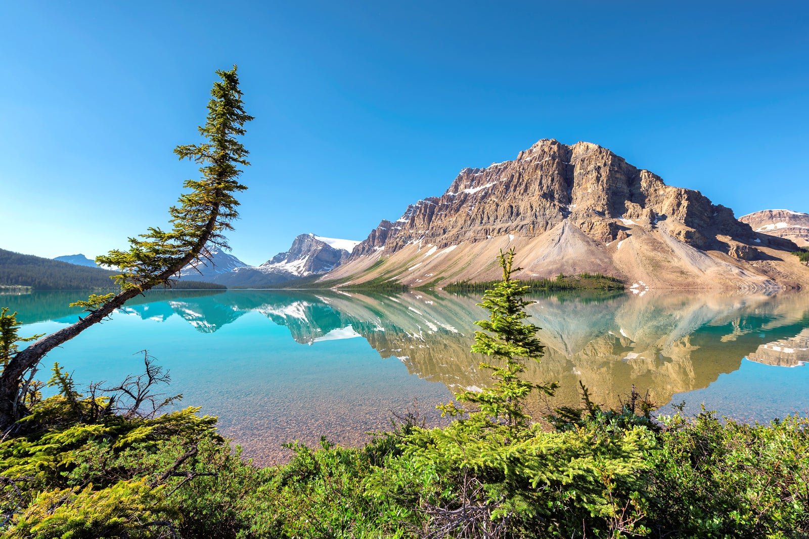 دریاچه کمان - Bow Lake