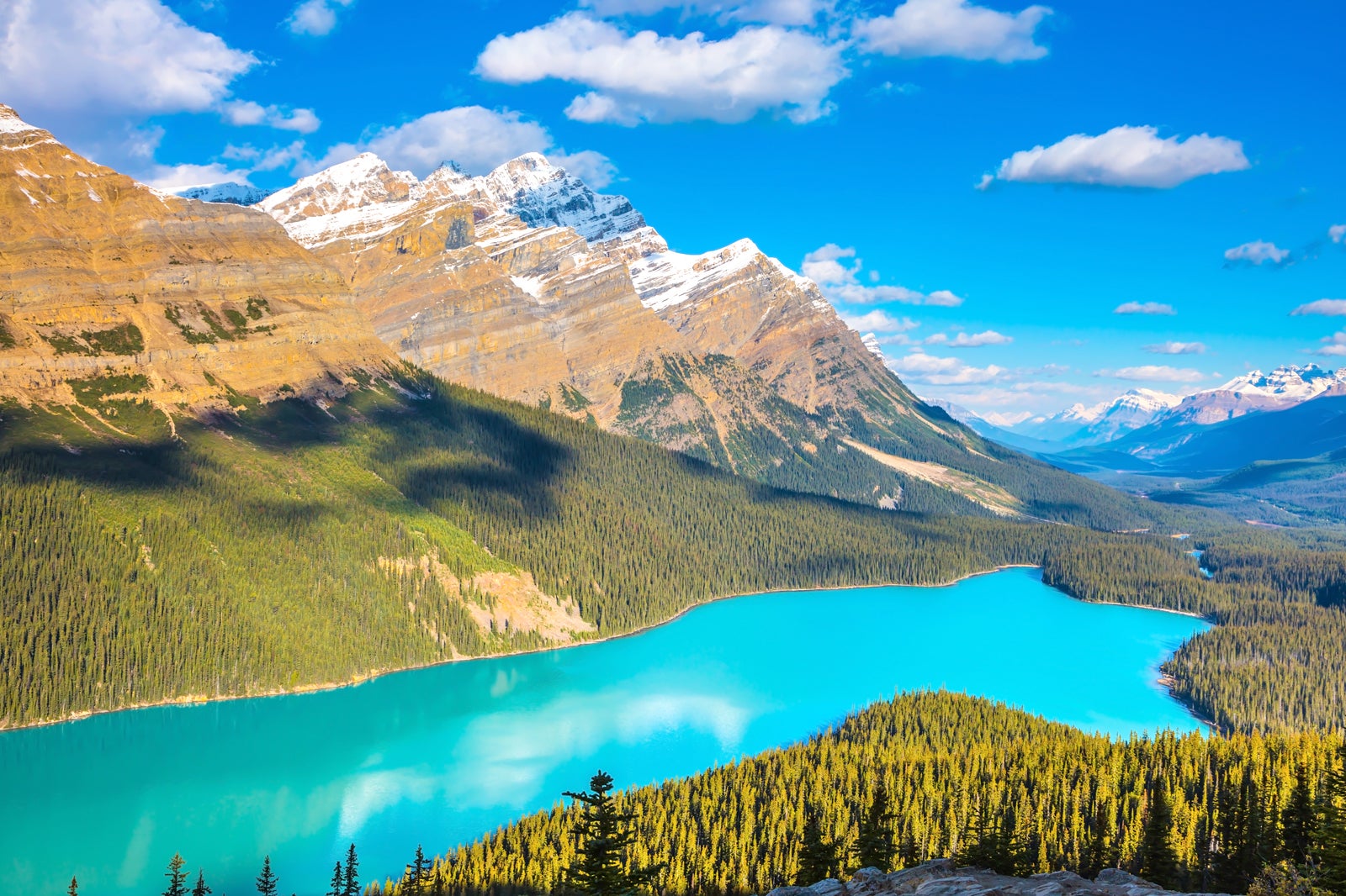 دریاچه پیتو - Peyto Lake