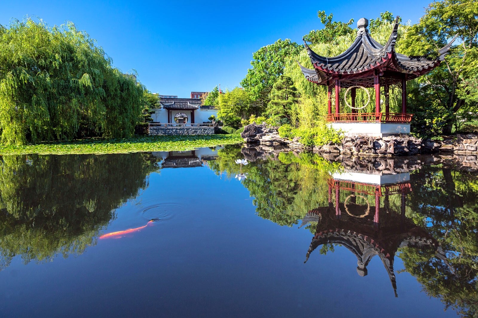 باغ چینی کلاسیک دکتر سان یات سن - Dr. Sun Yat-Sen Classical Chinese Garden