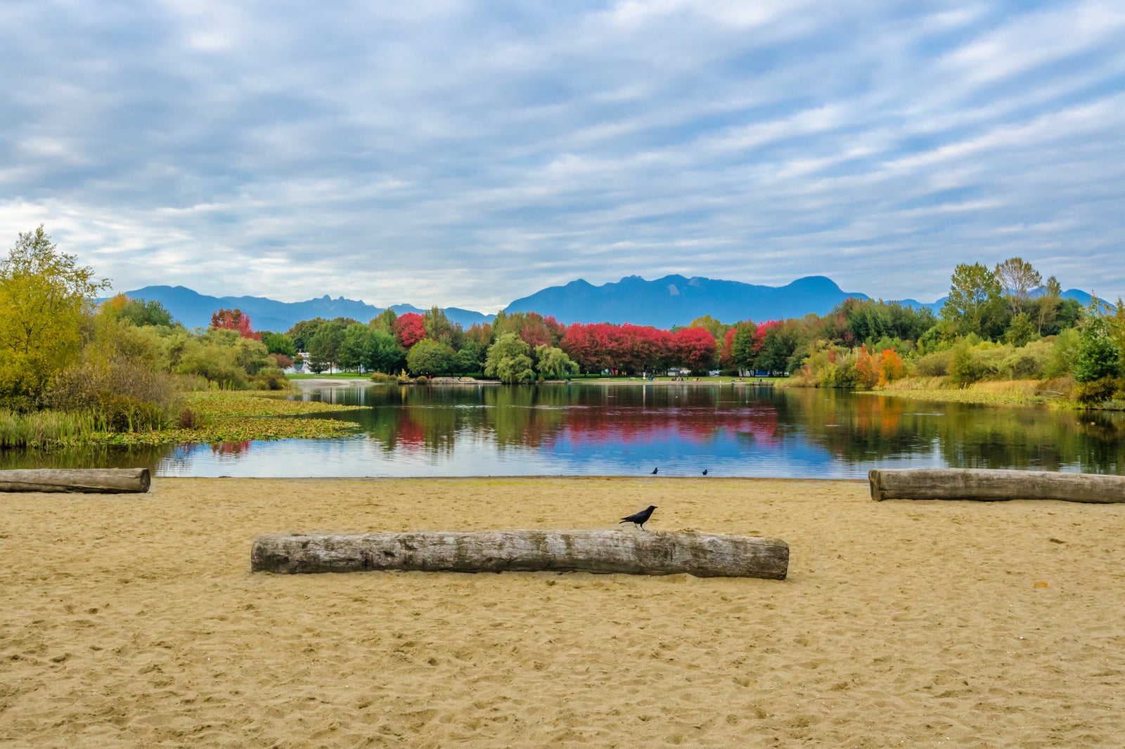 پارک جان هندری - John Hendry Park