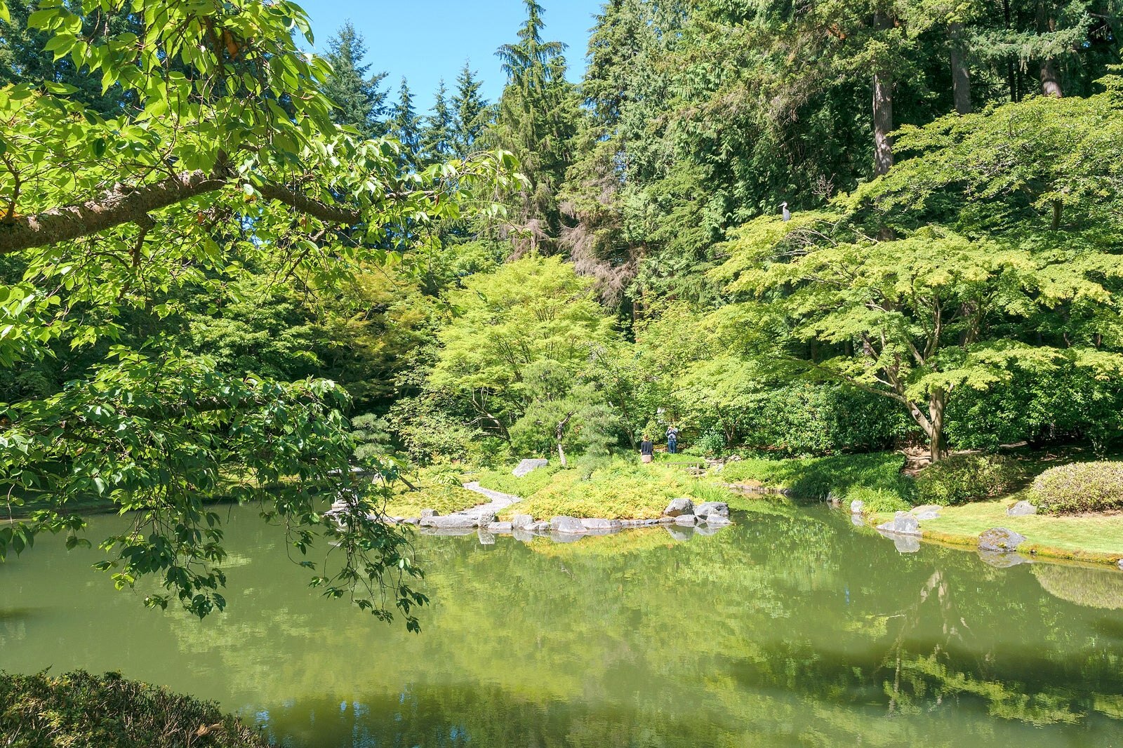 باغ یادبود نیتوبه - Nitobe Memorial Garden