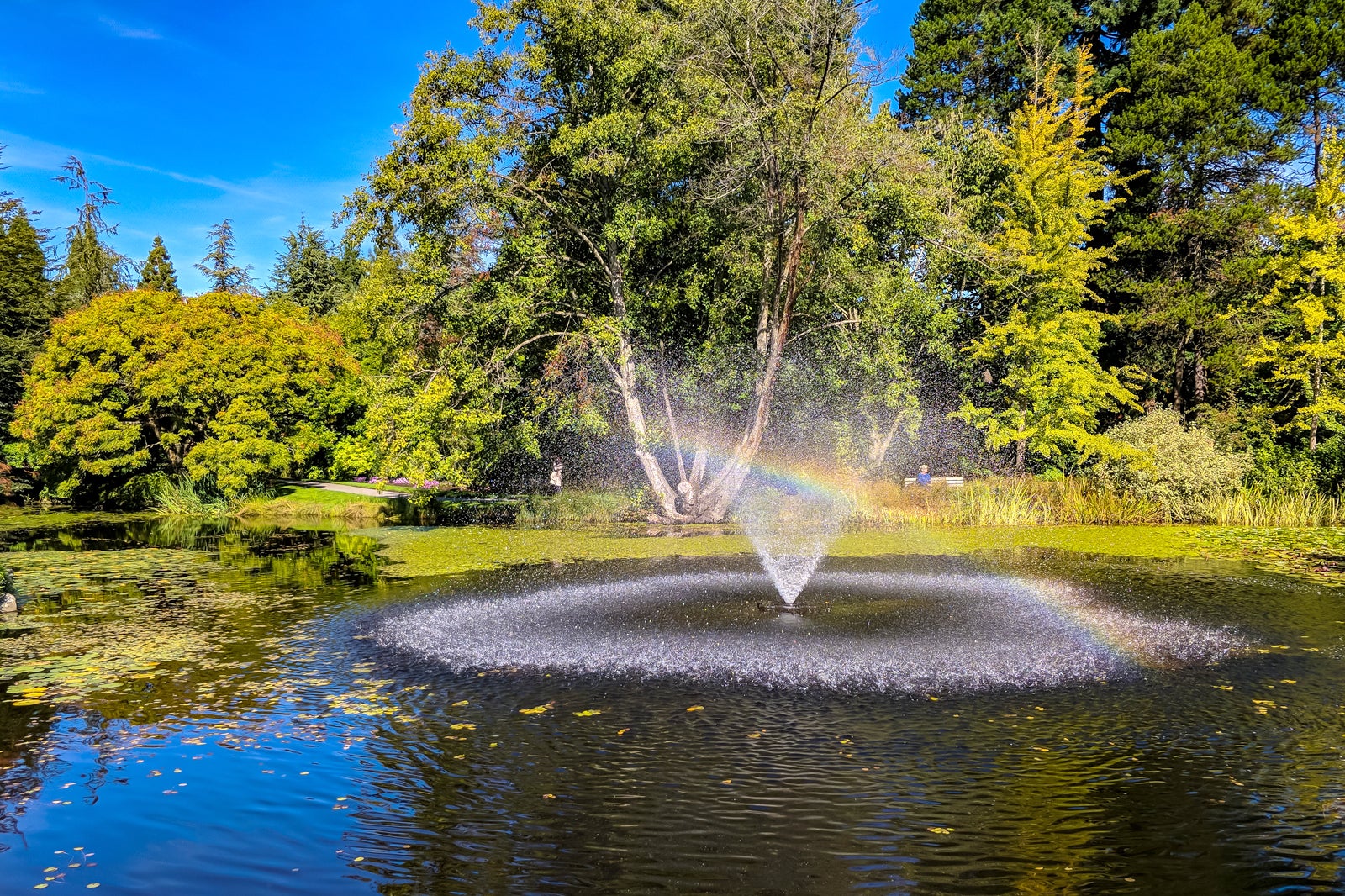 باغ گیاه شناسی وان دوسن - VanDusen Botanical Garden