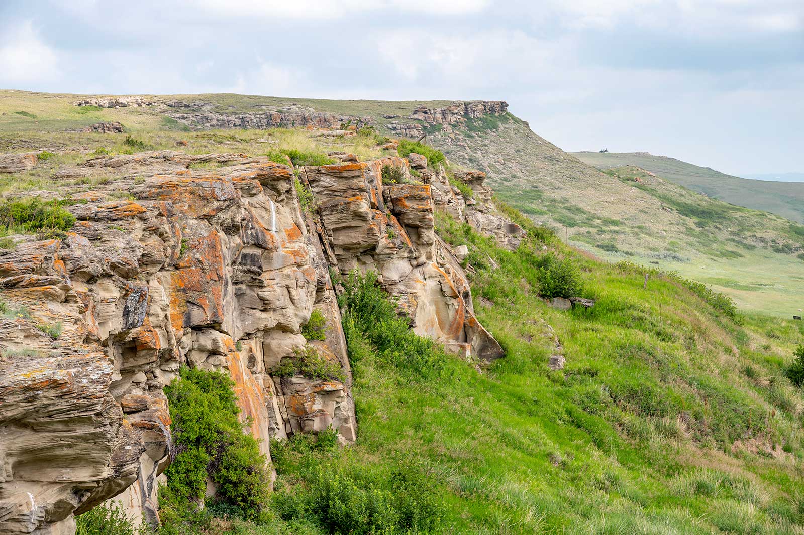 سر شکسته در بوفالو جامپ - Head-Smashed-In Buffalo Jump