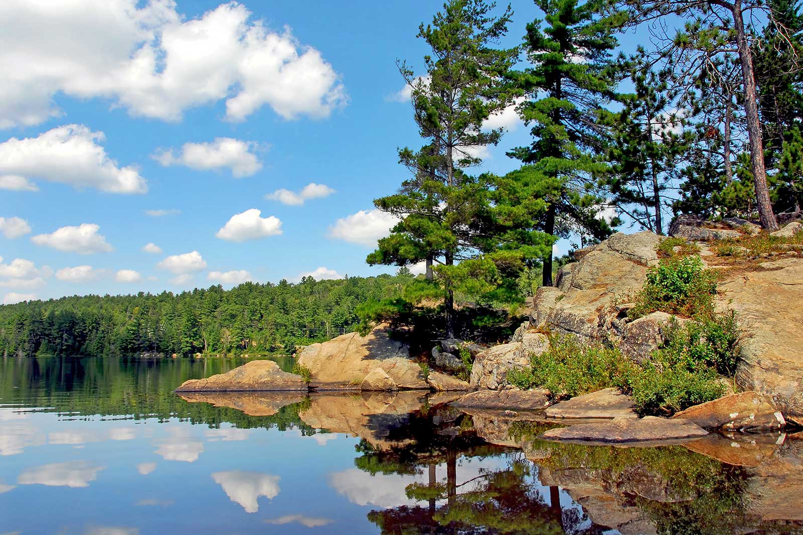 پارک استانی آلگونکوین - Algonquin Provincial Park