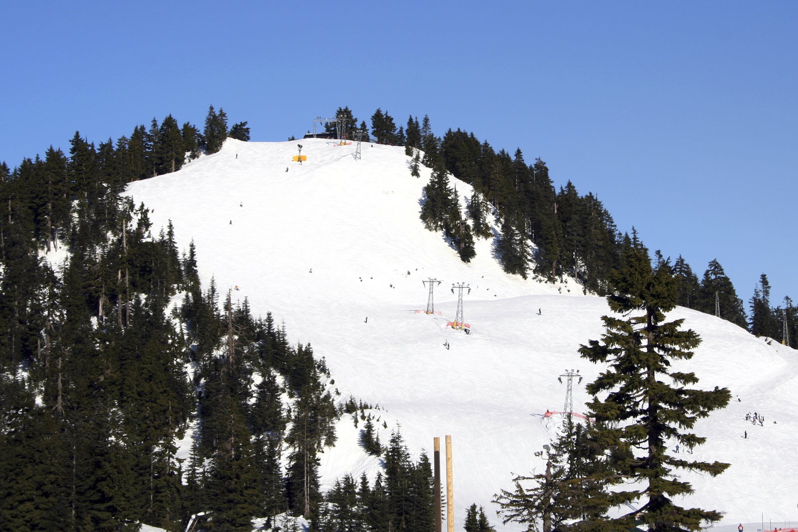 کوه گروس - Grouse Mountain