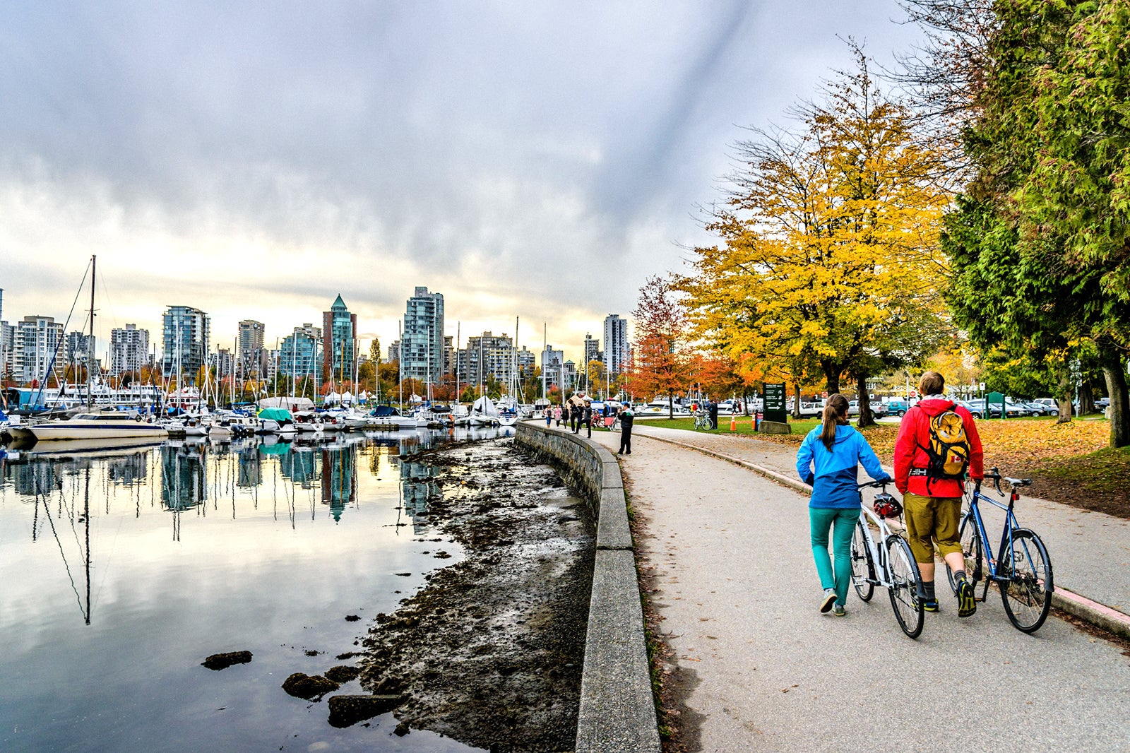 استنلی پارک - Stanley Park